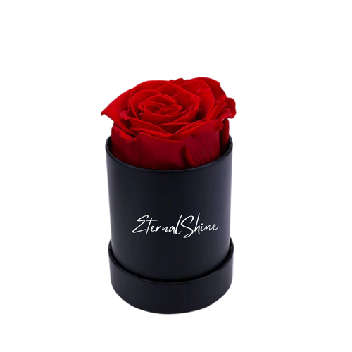 קופסת הורד הנצחי גלגלת