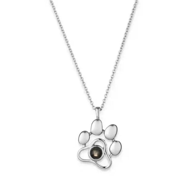 שרשרת חיית המחמד - עם תמונה מוצפנת